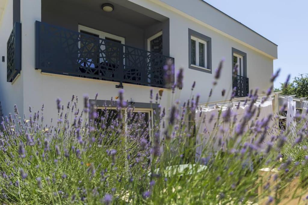 Luxury Villa Cetiri Hrasta Pican Exterior photo