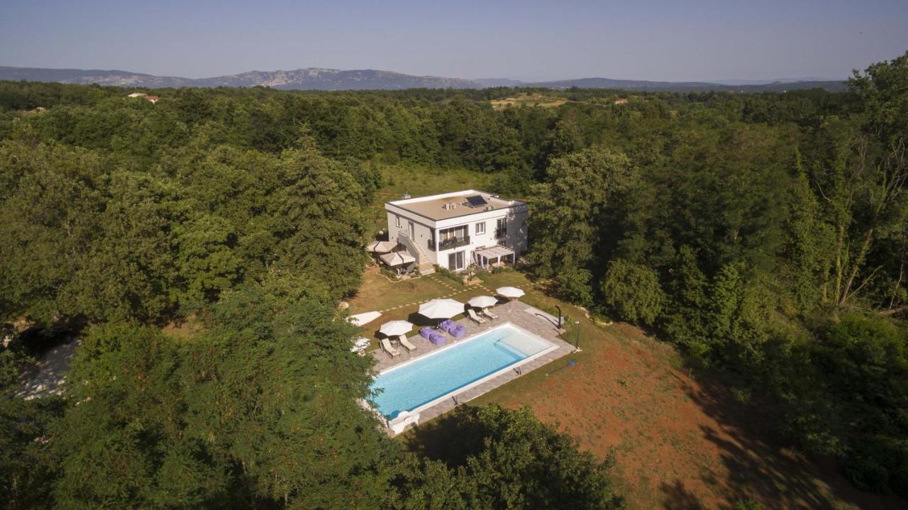 Luxury Villa Cetiri Hrasta Pican Exterior photo